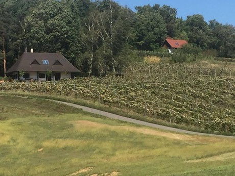 Vinogradi Burgenlanda