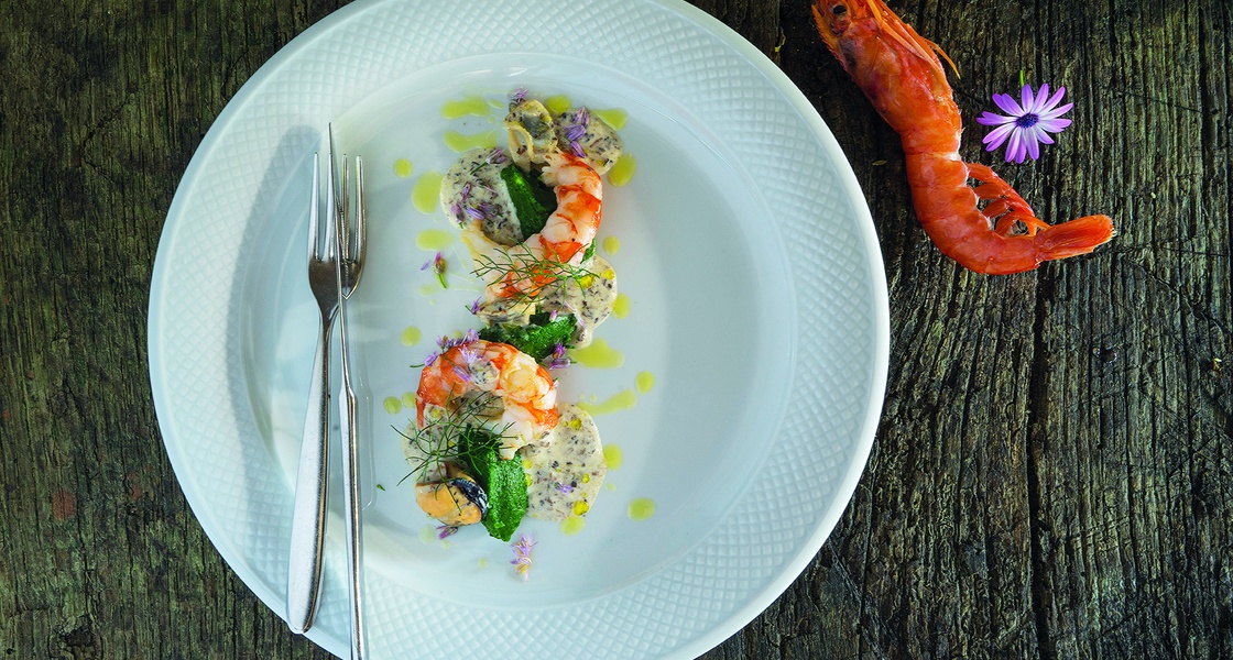 Mix rakova i školjaka